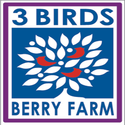 3 Birds Berry Farm